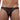 Cover Male CM101  Bikini Sheer